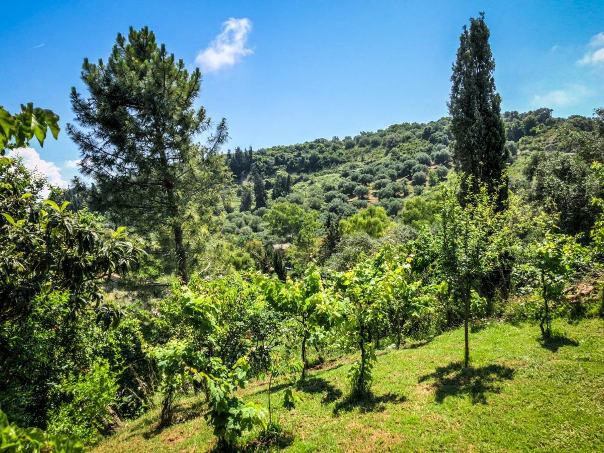Hidden Gem In Nature Reserve Near The Beach - Corfu South Kritika  Dış mekan fotoğraf